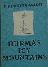Burma's icy mountains