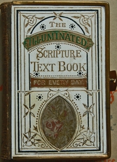 The illuminated Scripture Text Book.